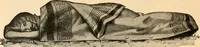An illustration from Illustrated catalogue and price list. (1901)