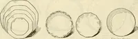 An illustration from Illustrated catalogue with prices : white china and complete list of china painters' materials. (1913)
