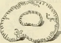 An illustration from Illustrated catalogue with prices : white china and complete list of china painters' materials. (1913)