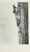 An illustration from Illustrated catalogue of 100 paintings of old masters of the Dutch, Flemish, Italian, French, and English schools : belonging to the Sedelmeyer Gallery, which contains about 1000 original paintings of ancient and modern artists (1894)