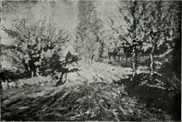 An illustration from Illustrated catalogue of oil and water color paintings by Dutch, French, English, American and Italian artists belonging to the estate of the late James S. Inglis, to be sold at unrestricted public sale ... on ... [March 9th and 10th, 1910] : the sale will be conducted by Mr. Thomas E. Kirby, of the American Art Association, managers (1910)