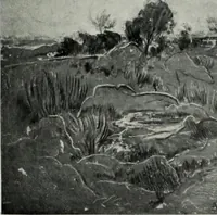 An illustration from Illustrated catalogue of oil and water color paintings by Dutch, French, English, American and Italian artists belonging to the estate of the late James S. Inglis, to be sold at unrestricted public sale ... on ... [March 9th and 10th, 1910] : the sale will be conducted by Mr. Thomas E. Kirby, of the American Art Association, managers (1910)