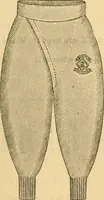 An illustration from Illustrated catalogue .. (1891)