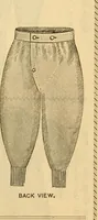 An illustration from Illustrated catalogue .. (1891)