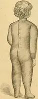 An illustration from Illustrated catalogue .. (1891)