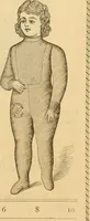 An illustration from Illustrated catalogue .. (1891)