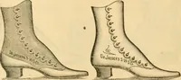 An illustration from Illustrated catalogue .. (1891)