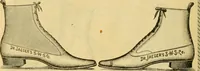 An illustration from Illustrated catalogue .. (1891)