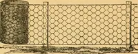 Picture 86 of 130 from Illustrated catalogue and price list (1875), leaf 42