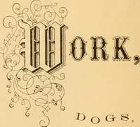 Picture 130 of 130 from Illustrated catalogue and price list (1875), leaf 57