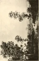 An illustration from Illustrated catalogue of the valuable paintings and sculptures by old and modern masters forming the famous Catholina Lambert collection (1916)