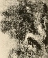 An illustration from Illustrated catalogue of the valuable paintings and sculptures by old and modern masters forming the famous Catholina Lambert collection (1916)