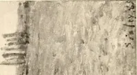 An illustration from Illustrated catalogue of the valuable paintings and sculptures by old and modern masters forming the famous Catholina Lambert collection (1916)