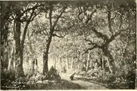 An illustration from Illustrated catalogue of the valuable paintings and sculptures by old and modern masters forming the famous Catholina Lambert collection (1916)