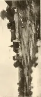 An illustration from Illustrated catalogue of the valuable paintings and sculptures by old and modern masters forming the famous Catholina Lambert collection (1916)