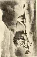 An illustration from Illustrated catalogue of the valuable paintings and sculptures by old and modern masters forming the famous Catholina Lambert collection (1916)