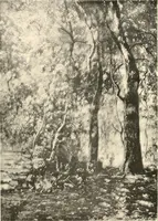 An illustration from Illustrated catalogue of the valuable paintings and sculptures by old and modern masters forming the famous Catholina Lambert collection (1916)