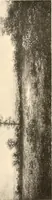 An illustration from Illustrated catalogue of the valuable paintings and sculptures by old and modern masters forming the famous Catholina Lambert collection (1916)