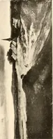 An illustration from Illustrated catalogue of the valuable paintings and sculptures by old and modern masters forming the famous Catholina Lambert collection (1916)