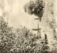 An illustration from Illustrated catalogue of the valuable paintings and sculptures by old and modern masters forming the famous Catholina Lambert collection (1916)