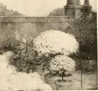 Picture 82 of 204 from Illustrated catalogue of the valuable paintings and sculptures by old and modern masters forming the famous Catholina Lambert collection (1916), leaf 307