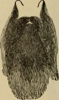 An illustration from Illustrated catalogue and price list; Knights of Pythias lodge paraphernalia and costumes for all three ranks (1899)