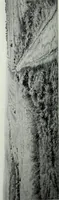 An illustration from Illustrated catalogue of the highly important collection of foreign and American paintings, to be sold at unrestricted public sale in the grand ballroom of the Plaza Hotel .. (1913)