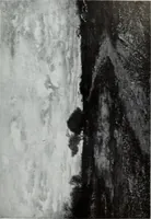 An illustration from Illustrated catalogue of the highly important collection of foreign and American paintings, to be sold at unrestricted public sale in the grand ballroom of the Plaza Hotel .. (1913)