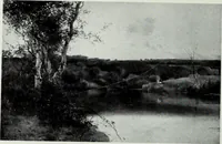 An illustration from Illustrated catalogue of the highly important collection of foreign and American paintings, to be sold at unrestricted public sale in the grand ballroom of the Plaza Hotel .. (1913)