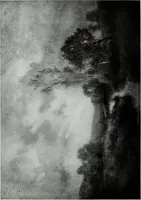 An illustration from Illustrated catalogue of the highly important collection of foreign and American paintings, to be sold at unrestricted public sale in the grand ballroom of the Plaza Hotel .. (1913)