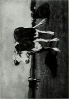 An illustration from Illustrated catalogue of the highly important collection of foreign and American paintings, to be sold at unrestricted public sale in the grand ballroom of the Plaza Hotel .. (1913)