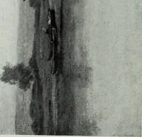 An illustration from Illustrated catalogue of the highly important collection of foreign and American paintings, to be sold at unrestricted public sale in the grand ballroom of the Plaza Hotel .. (1913)