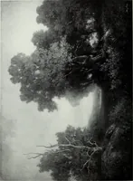 An illustration from Illustrated catalogue of the highly important collection of foreign and American paintings, to be sold at unrestricted public sale in the grand ballroom of the Plaza Hotel .. (1913)
