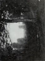 An illustration from Illustrated catalogue of the highly important collection of foreign and American paintings, to be sold at unrestricted public sale in the grand ballroom of the Plaza Hotel .. (1913)