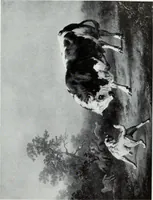 An illustration from Illustrated catalogue of the highly important collection of foreign and American paintings, to be sold at unrestricted public sale in the grand ballroom of the Plaza Hotel .. (1913)
