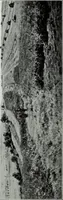 An illustration from Illustrated catalogue of the highly important collection of foreign and American paintings, to be sold at unrestricted public sale in the grand ballroom of the Plaza Hotel .. (1913)