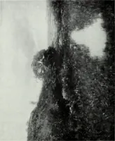 An illustration from Illustrated catalogue of the highly important collection of foreign and American paintings, to be sold at unrestricted public sale in the grand ballroom of the Plaza Hotel .. (1913)