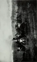 An illustration from Illustrated catalogue of the highly important collection of foreign and American paintings, to be sold at unrestricted public sale in the grand ballroom of the Plaza Hotel .. (1913)