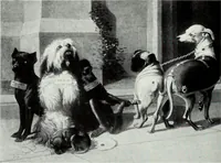 An illustration from Illustrated catalogue of the highly important collection of foreign and American paintings, to be sold at unrestricted public sale in the grand ballroom of the Plaza Hotel .. (1913)
