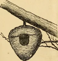 An illustration from Illustrated catalogue of ornamental iron work for lawns, gardens, parks, cemeteries, &c. (1871)