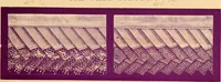 Picture 25 of 33 from Illustrated catalogue of the standard trimmings. (1873), leaf 24