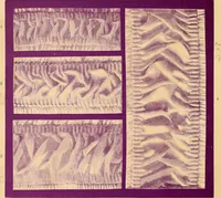 Picture 1 of 33 from Illustrated catalogue of the standard trimmings. (1873), leaf 5