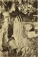 An illustration from Illustrated catalogue of classical antiquities from the site of the temple of Diana, Nemi, Italy. Discovered during excavations undertaken by the Right Hon. Lord Savile ... and given by him to the Art museum of Nottingham: with an account by Lord Savile of the discovery of the temple and the objects foundthere (1893)
