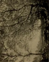 Picture 33 of 49 from Illustrated catalogue of the completed pictures left by the late Henry Ward Ranger, N.A. : and his collection of works by some of his contemporaries (1917), leaf 106