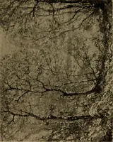 Picture 34 of 49 from Illustrated catalogue of the completed pictures left by the late Henry Ward Ranger, N.A. : and his collection of works by some of his contemporaries (1917), leaf 108