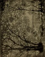 Picture 45 of 49 from Illustrated catalogue of the completed pictures left by the late Henry Ward Ranger, N.A. : and his collection of works by some of his contemporaries (1917), leaf 130