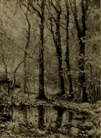 Picture 3 of 49 from Illustrated catalogue of the completed pictures left by the late Henry Ward Ranger, N.A. : and his collection of works by some of his contemporaries (1917), leaf 25