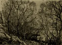 Picture 4 of 49 from Illustrated catalogue of the completed pictures left by the late Henry Ward Ranger, N.A. : and his collection of works by some of his contemporaries (1917), leaf 27