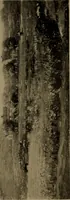 Picture 14 of 49 from Illustrated catalogue of the completed pictures left by the late Henry Ward Ranger, N.A. : and his collection of works by some of his contemporaries (1917), leaf 52