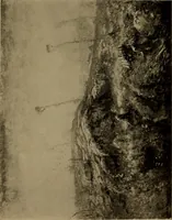 An illustration from Illustrated catalogue of the completed pictures left by the late Henry Ward Ranger, N.A. : and his collection of works by some of his contemporaries (1917)
